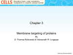 Membrane targeting of proteins