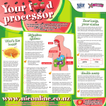Who`s the boss? Health news Digestive system