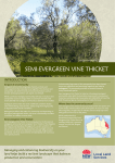 Semi-Evergreen Vine Thicket - Northern Tablelands Local Land