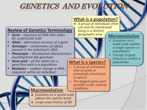 What is a population? Review of Genetics Terminology