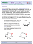 Model Worksheet Student Handout