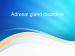 The adrenal cortex - Easymed.club