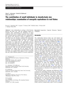 The contribution of small individuals to density-body