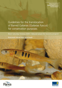 (Galaxias fuscus) for conservation purposes