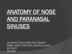 anatomy of nose brig muhammad ashfaq mbbs