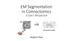 Challenges and Potential Solutions in EM Segmentation