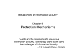 Protection Mechanisms