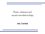 Humic substance and aquatic microbial ecology