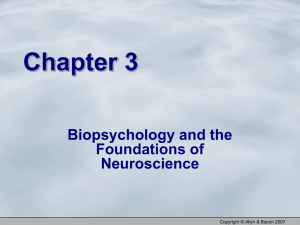 Ch. 3–Biological Basis of Behavior PPT