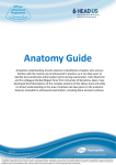 Anatomy Guide - Ultrasound Haemophilia