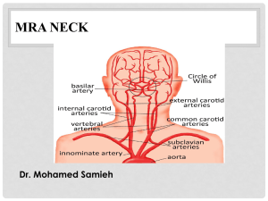 MRA NECK Dr. Mohamed Samieh MR ANGIOGRAPHY - O6U E