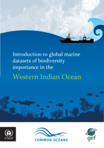 Western Indian Ocean
