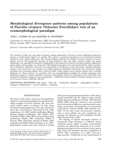 Morphological divergence patterns among populations of