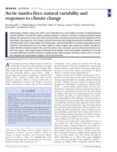 Arctic tundra fires: natural variability and responses to climate change