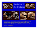 Evidence for Evolution