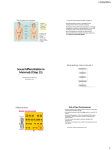 Sexual Differentiation in Mammals (Chap 11)