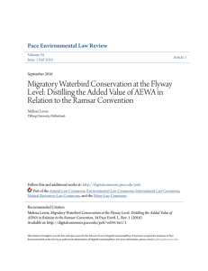 Migratory Waterbird Conservation at the Flyway Level: Distilling the