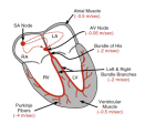 I. Atrial tachy