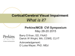 Cortical/cerebral visual impairment