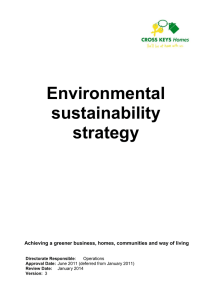 Environmental sustainability strategy Achieving a greener business
