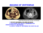 imaging of vertebrae
