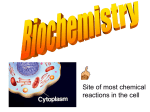 Biochem PowerPoint Presentation