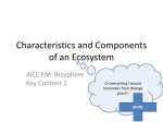 characteristics-and-components-of-an