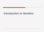 Intro to Genetics