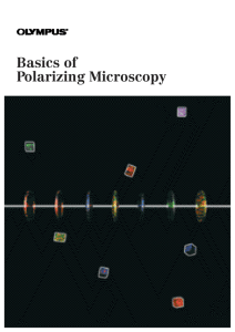 Basics of Polarizing Microscopy