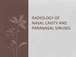 Radiology of Nasal Cavity and Paranasal Sinuses