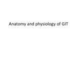 Anat n phys of GIT