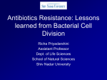 Amidase overexpression - Duke Trinity College of Arts and Sciences