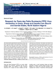 Research for Peste des Petits Ruminants (PPR) Virus Antibodies in