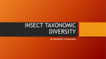INSECT TAXONOMIC DIVERSITY