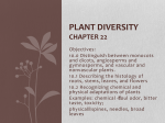 Plant diversity Chapter 22 Plants