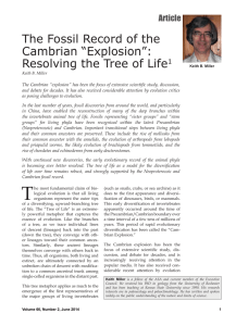 Cambrian “Explosion,”