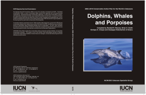 Dolphins, Whales and Porpoises: 2002–2010 Conservation Action