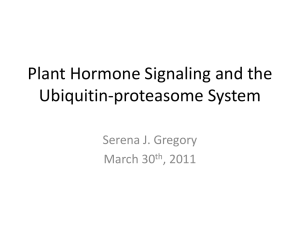Plant Hormone Signaling - Biol512