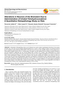 Alterations in Neurons of the Brainstem Due to Administration of