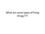 What are some types of living things??? - science-doaa