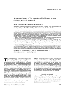 Anatomical study of the superior orbital fissure as seen during a