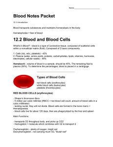 Blood Notes Packet