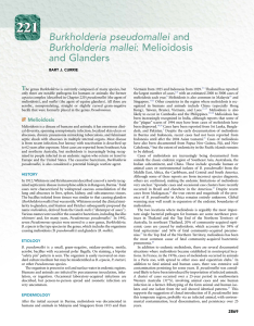 Burkholderia pseudomallei and Burkholderia mallei