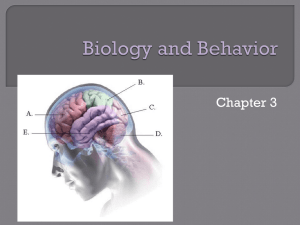 Ch 3 biology and Behavioir Notes