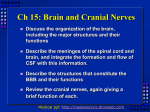 Ch 15: Brain and Cranial Nerves Discuss the organization of the