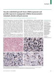 Vascular-endothelial-growth-factor (VEGF) expression and possible