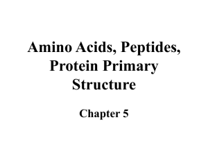 Biochemistry Lecture 4 9/6/01