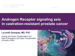 Castration Resistant Prostate Cancer