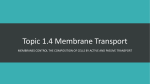 Topic 1.4 Membrane Transport