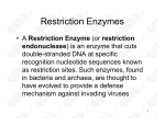 Restriction Enzymes